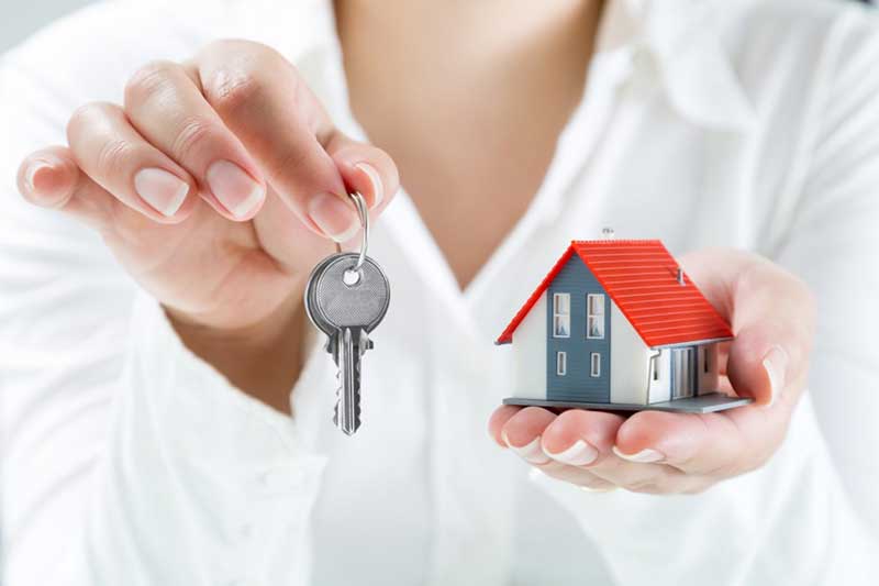 Real Estate Agent