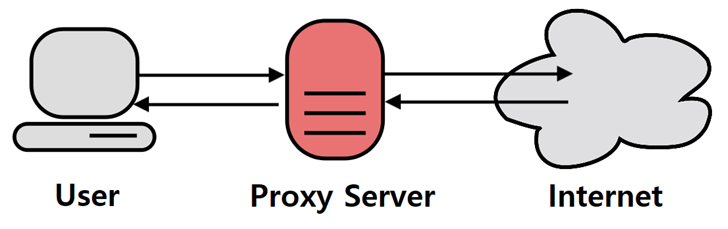 Proxy Networks